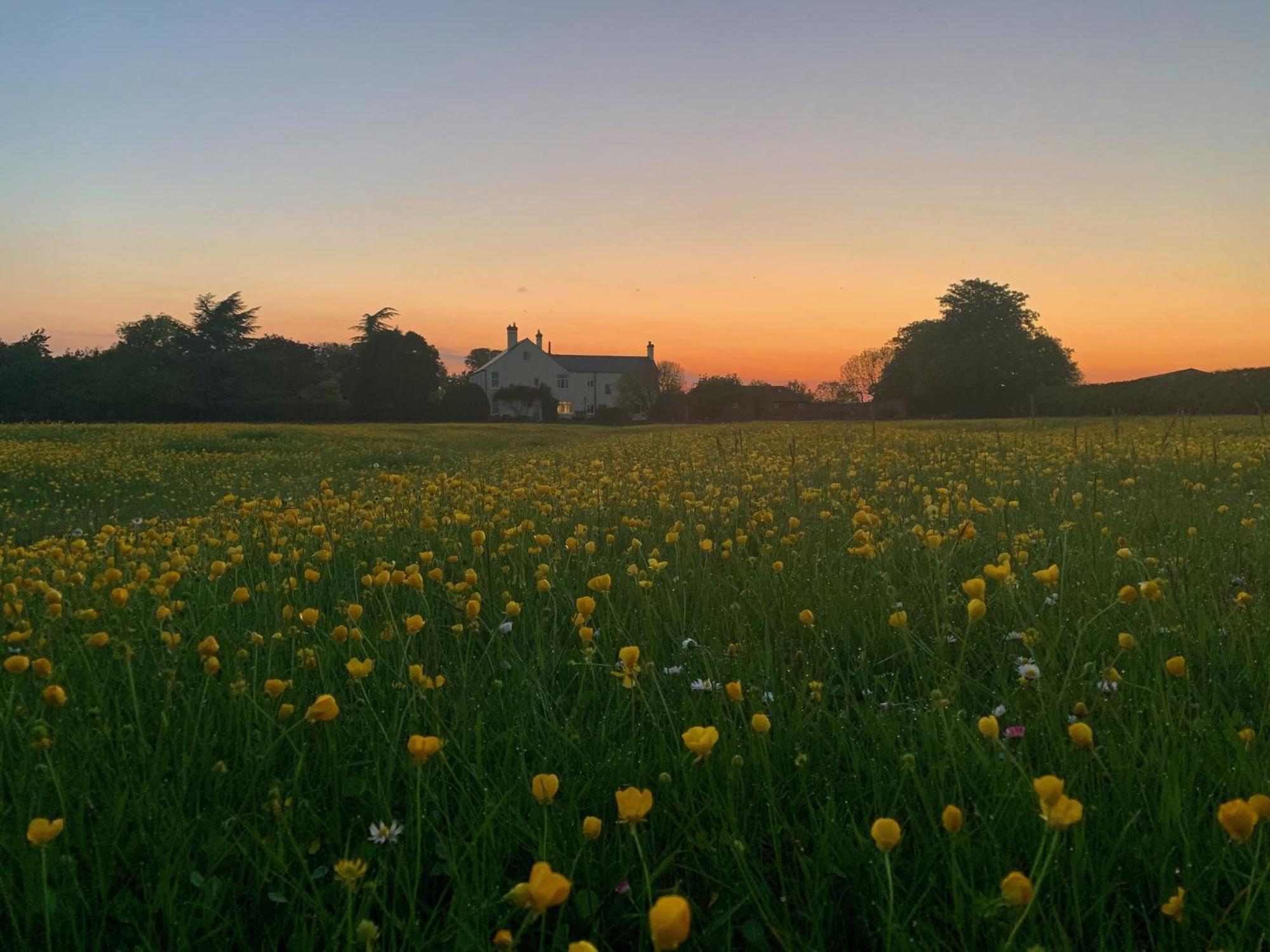 The Chestnuts Country House Boutique B&B Kilvington ภายนอก รูปภาพ